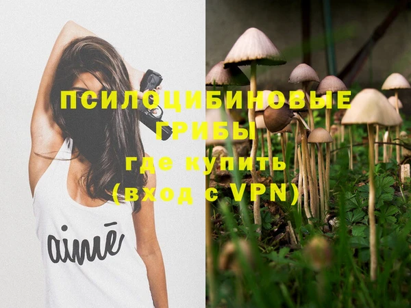 Альфа ПВП Абдулино