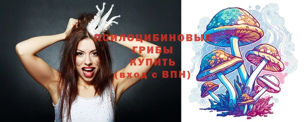Альфа ПВП Абдулино