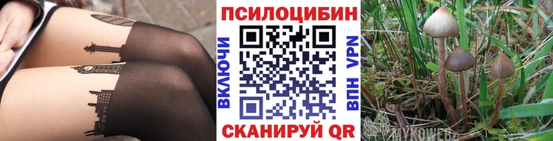 Псилоцибиновые грибы Psilocybe цены Покачи