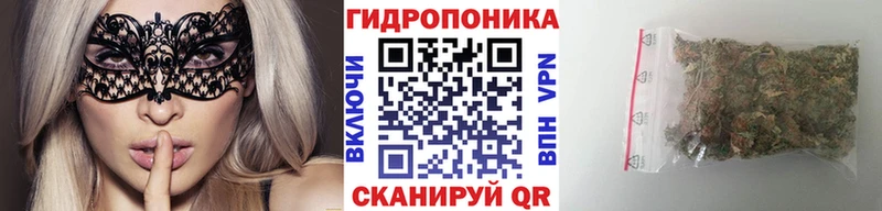 Канабис White Widow  кракен   Покачи 